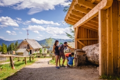 Holzknechtland-Holzstamm