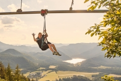 Waldachterbahn "Flylinas Hexenflug" mit Aussicht