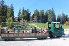 Waldeisenbahn